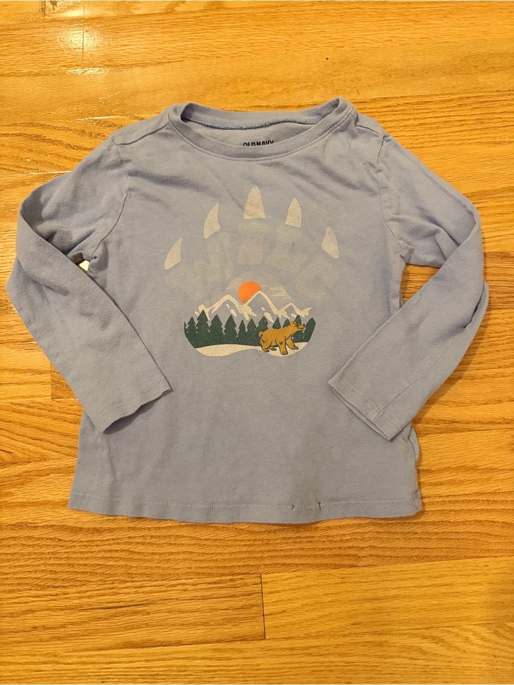 Blue Long Sleeve Shirt with Bear and Mountain Design